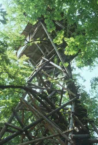 Failak, 2001, Orczy-kert
